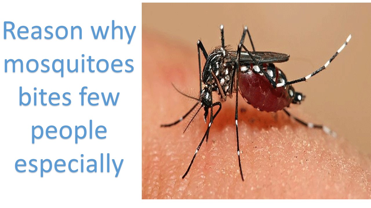 Reason why mosquitoes bites few people especially-infogalaxy.in